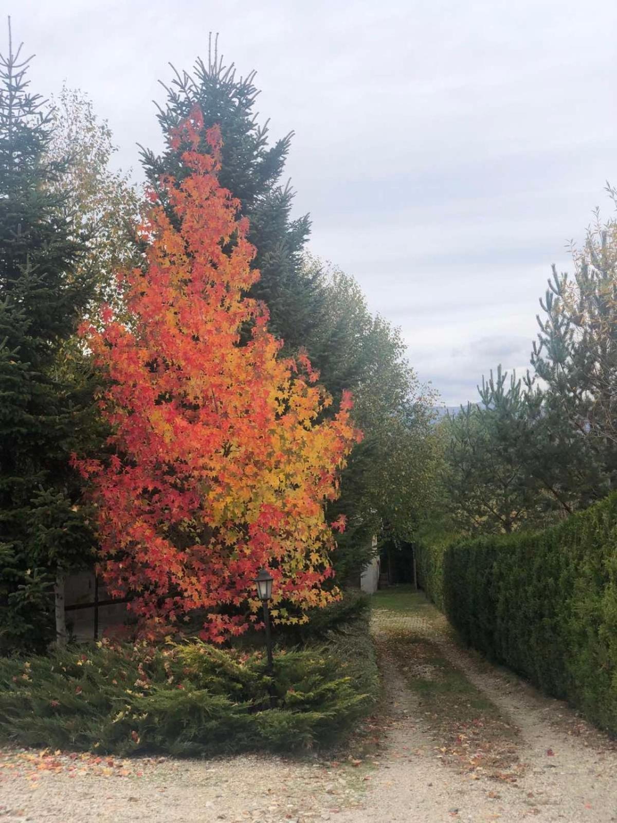 Vila Kameno Banja Exteriér fotografie